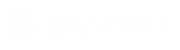 Sandvik Logo