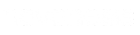 Novonesis Logo